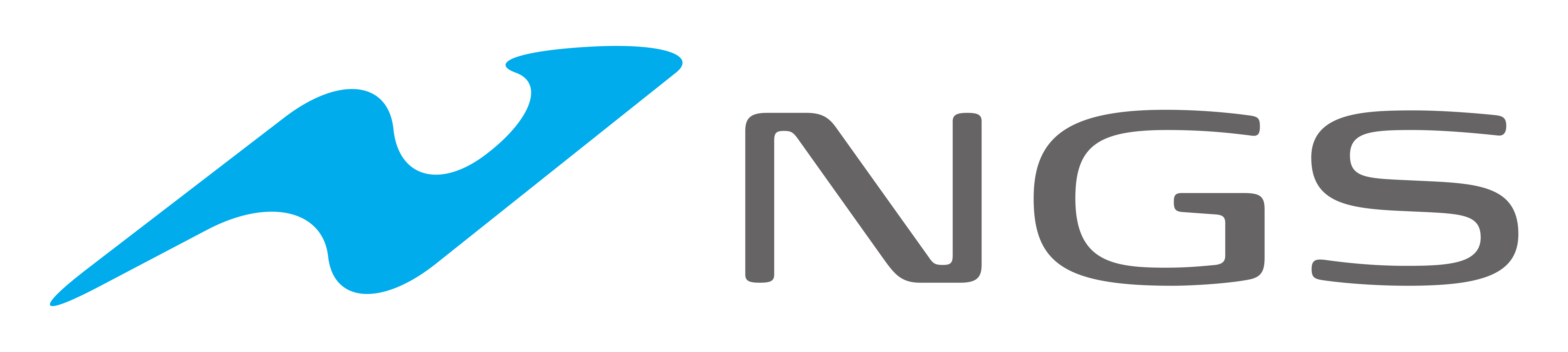 NGSロゴ